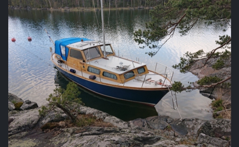 Family Cruiser-kuva-10